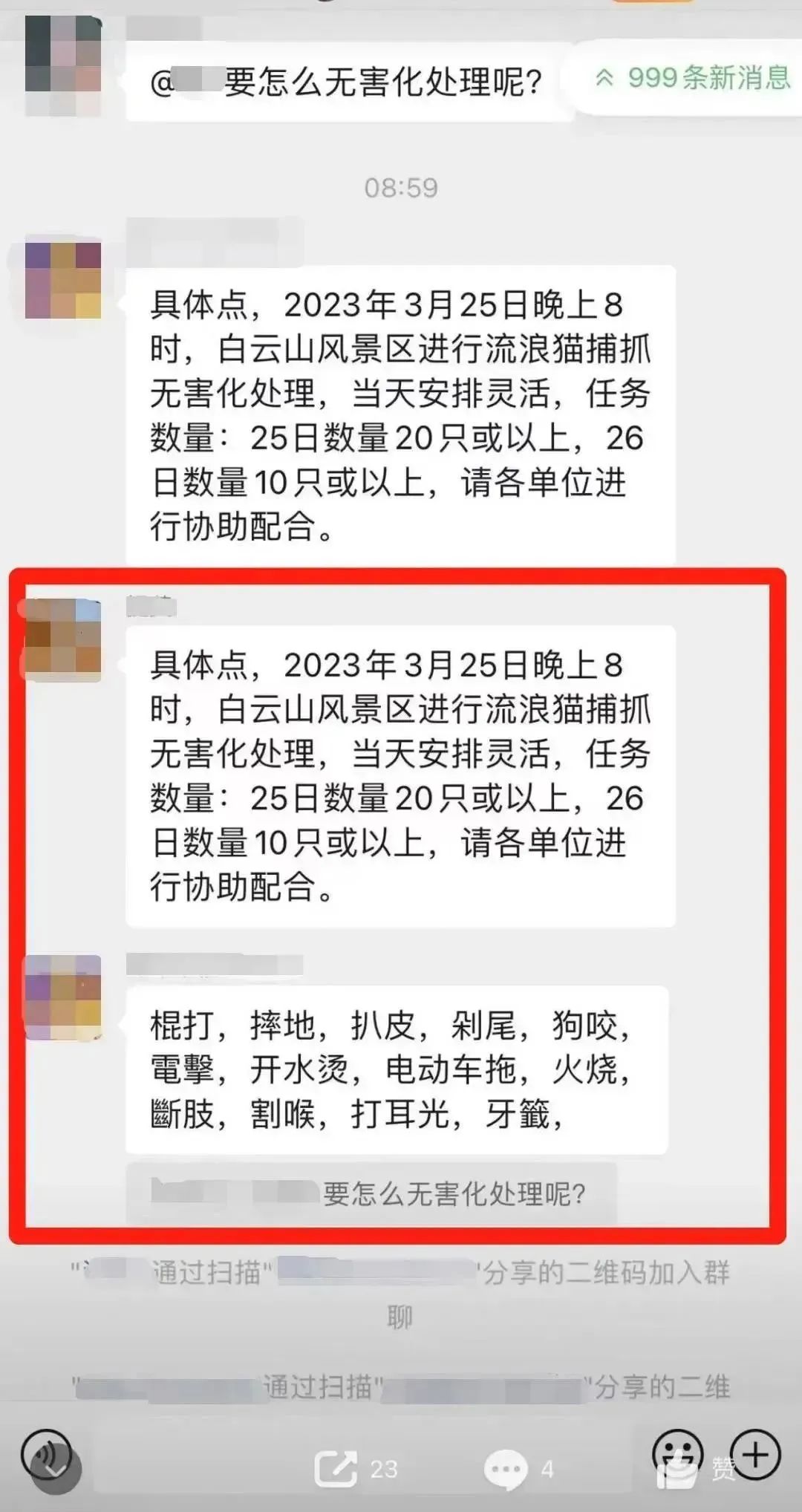 虐貓團(tuán)伙預(yù)謀在廣州公園下毒手，流浪貓命運(yùn)如何？