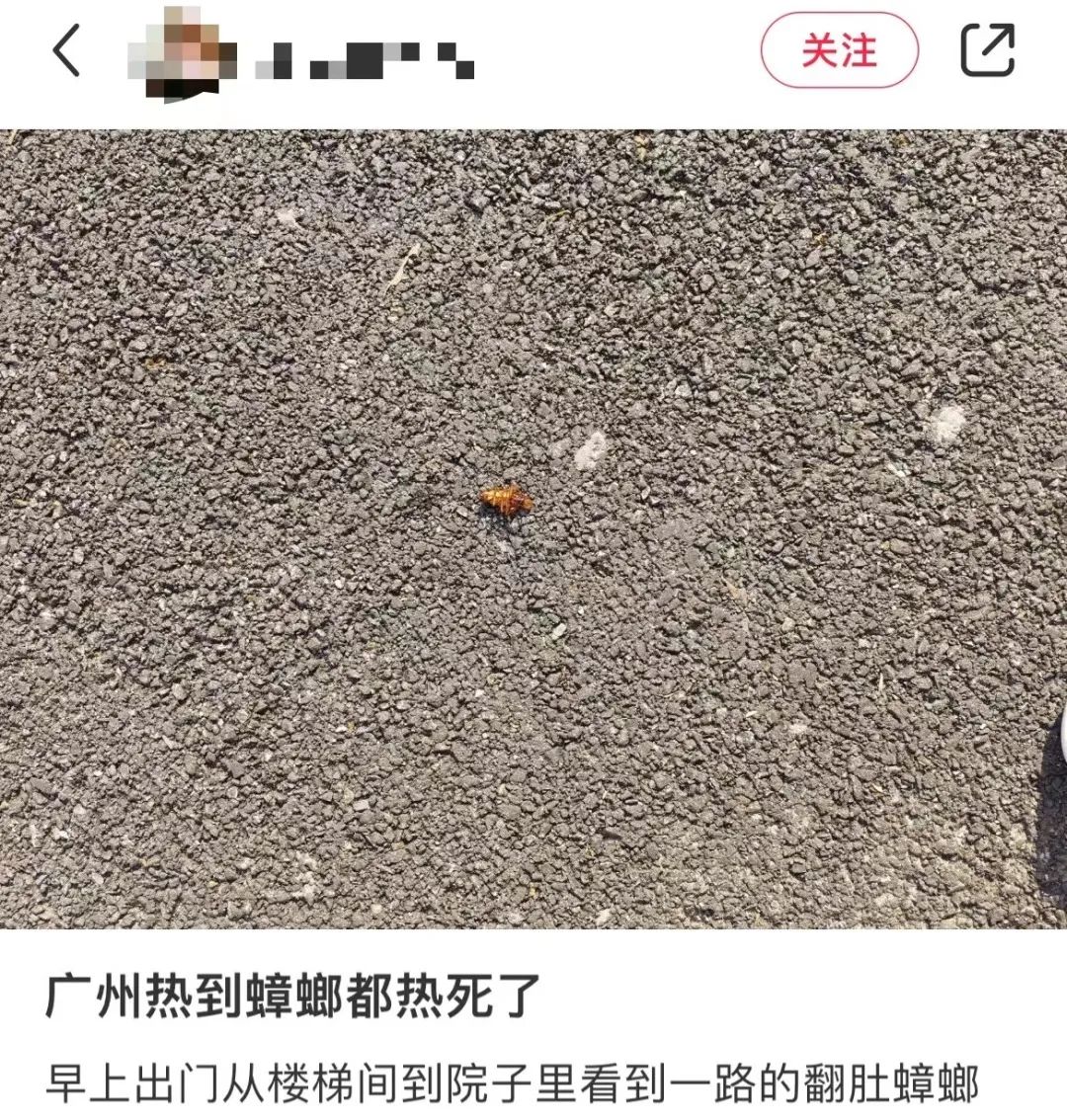 這兩天的廣州，只有國父孫中山敢在戶外站那么久……