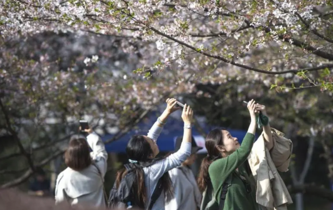 想進(jìn)廣東高校參觀，還要花錢找黃牛？