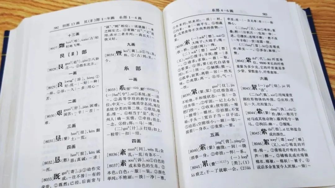 廣東人掛喺嘴邊卻經(jīng)常寫錯嘅粵語字，你寫啱咗未？