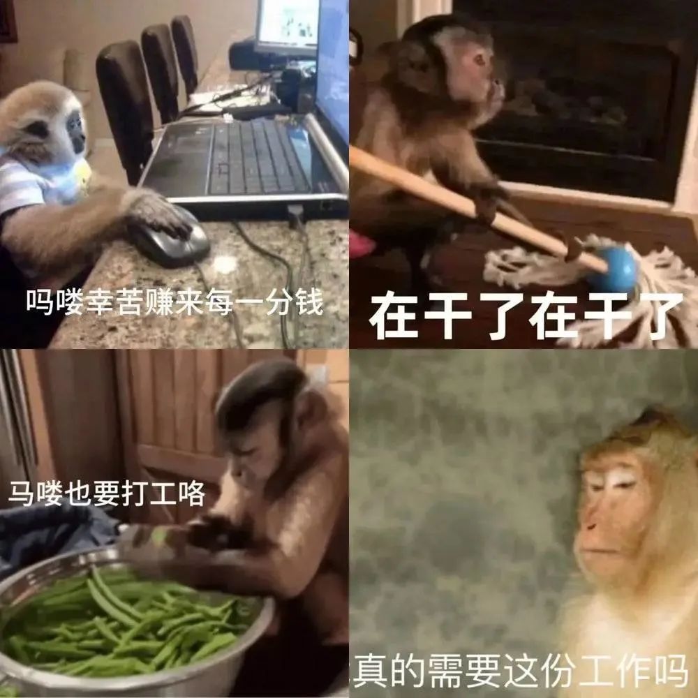 粵語為何稱猴子為馬騮，猴和馬怎么扯上關系的呢？