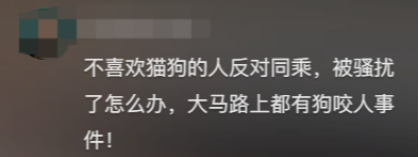 廣東開通寵物專線，你愿意和貓狗同坐一車嗎？