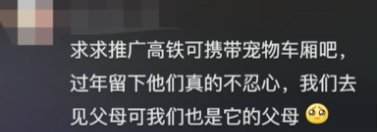 廣東開通寵物專線，你愿意和貓狗同坐一車嗎？