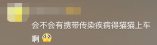 廣東開通寵物專線，你愿意和貓狗同坐一車嗎？