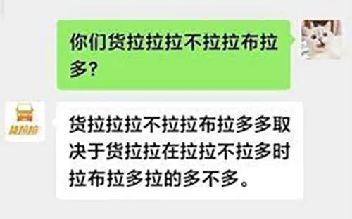 廣東開通寵物專線，你愿意和貓狗同坐一車嗎？