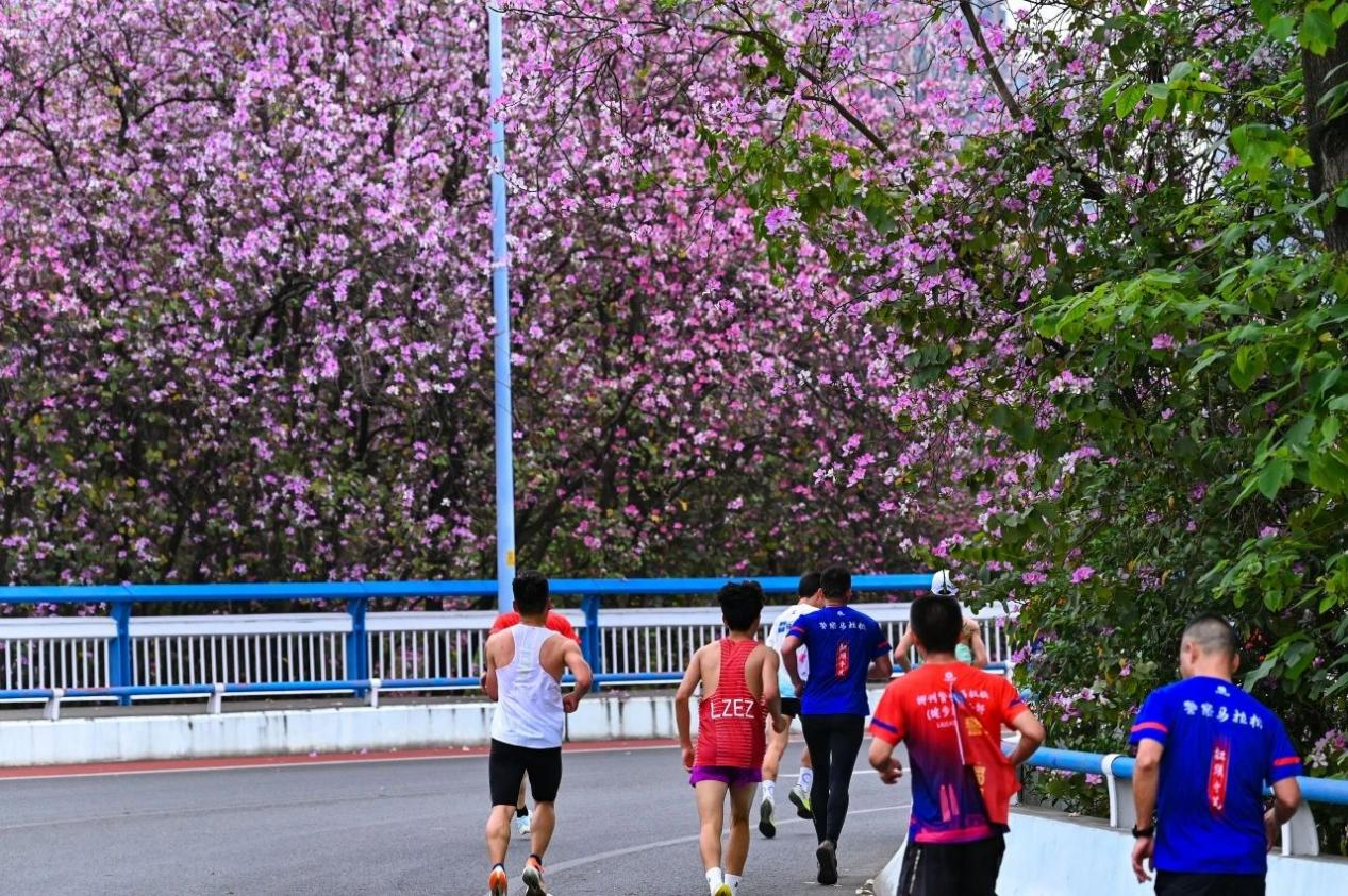 圖片20.png 圖片20.png