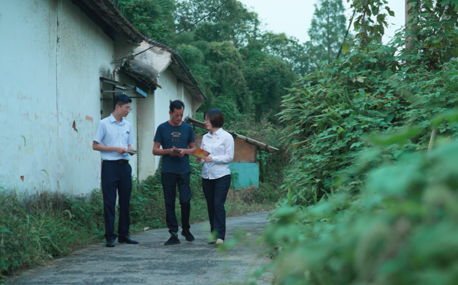 如圖片無法顯示，請刷新頁面