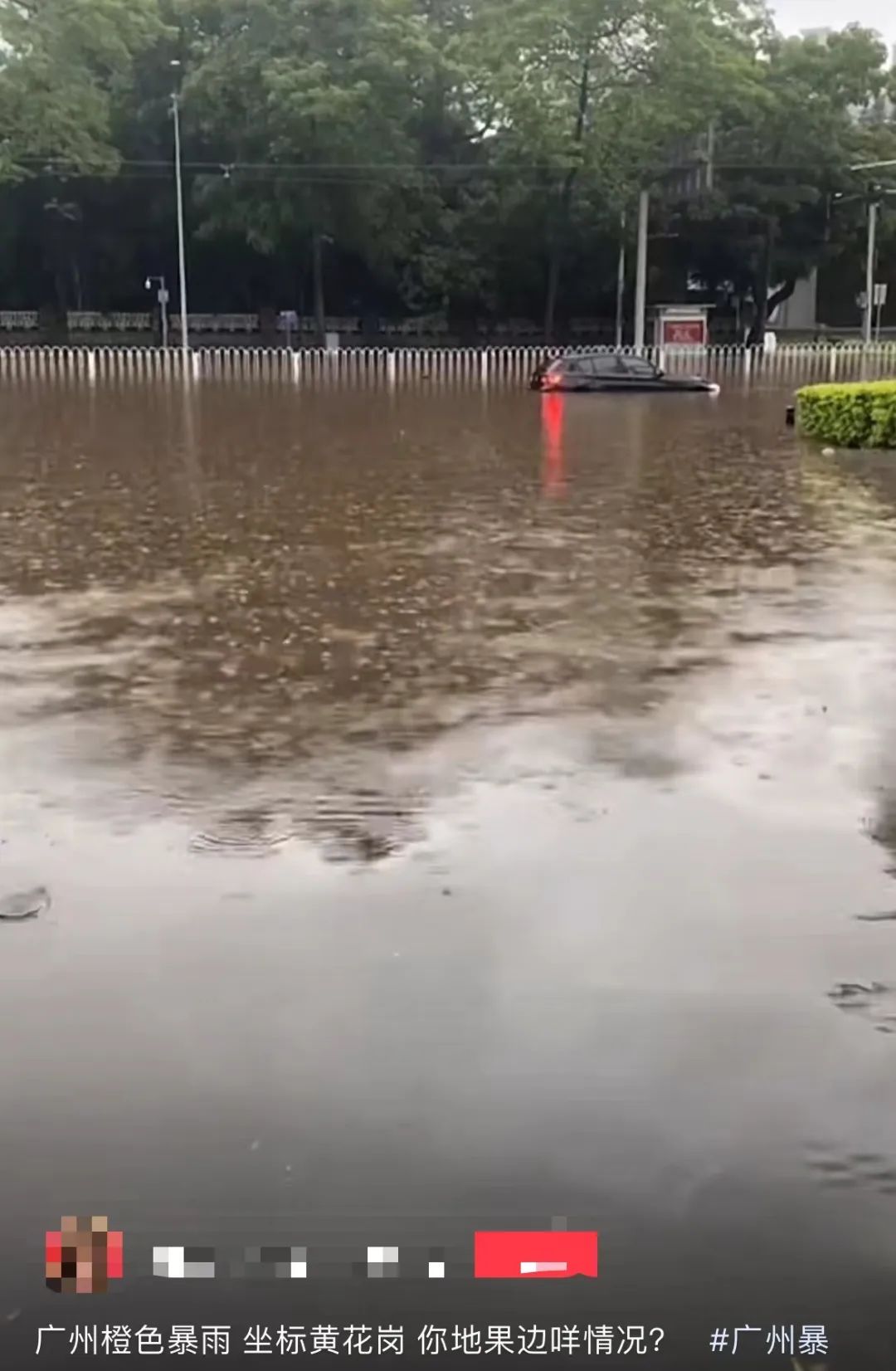 暴雨下的廣州：天河有河，番禺有魚