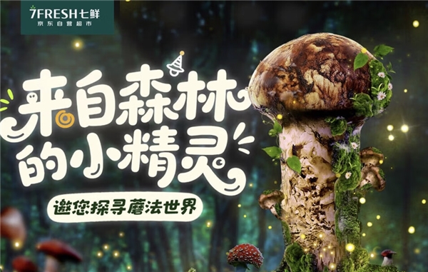 “蘑”法山珍平價(jià)嘗鮮! 京東七鮮香格里拉松茸99元開(kāi)搶