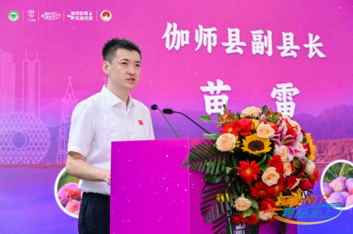 伽師新梅萬里行甜蜜登陸廣州，共啟南國甜蜜新篇章