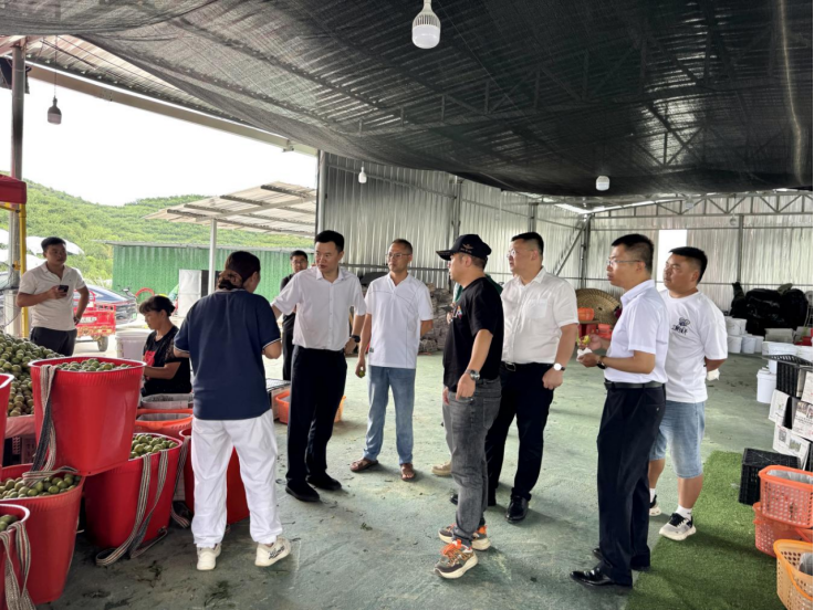 粵黔協(xié)作工作隊赴平壩調(diào)研東西部協(xié)作項目